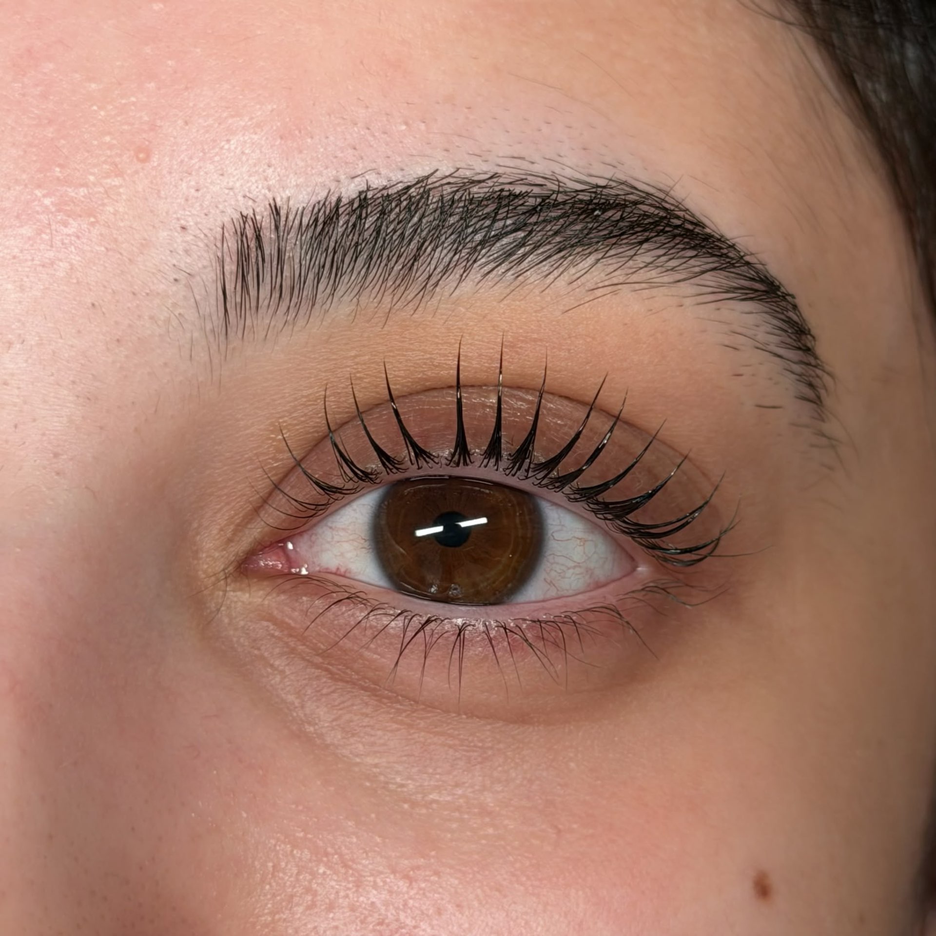 Lash lift — soft lift, brown eyes at Stylashlee