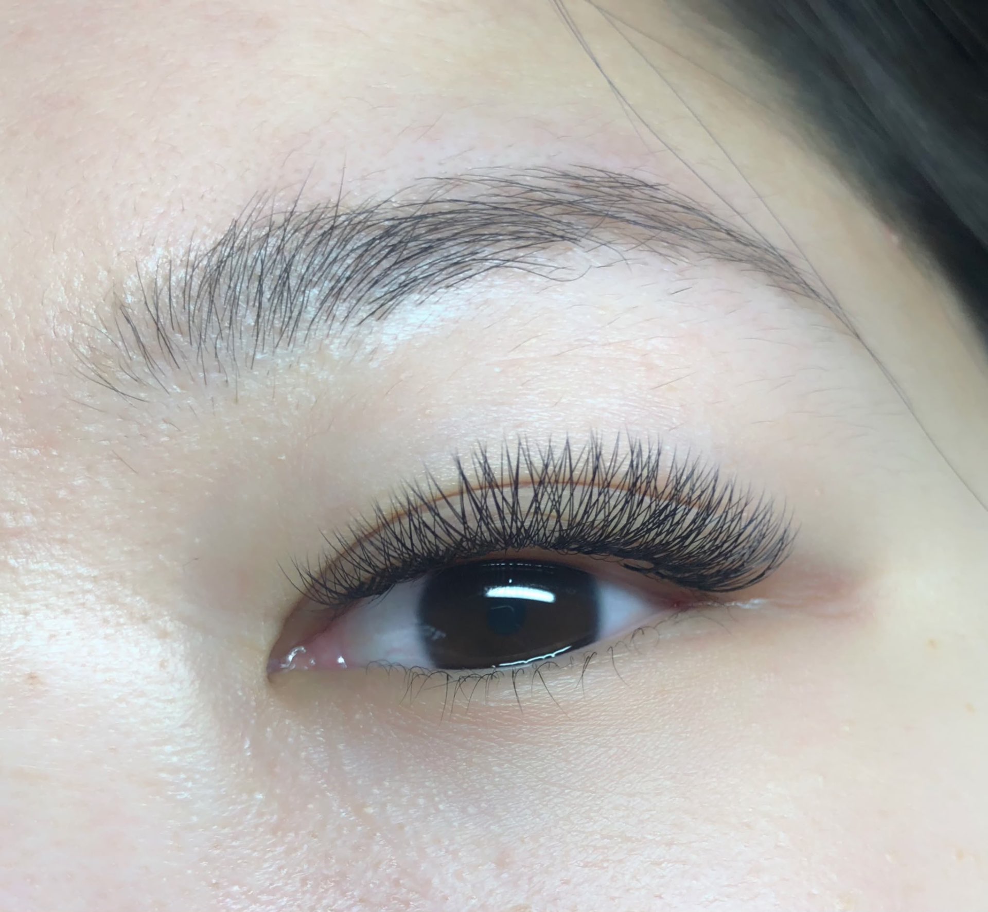 Volume lashes — dense fluffy fans at Stylashlee