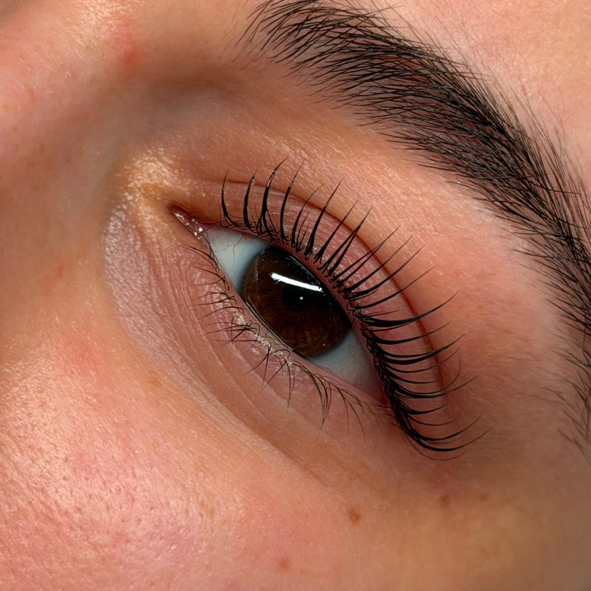 Lash lift — feathered finish at Stylashlee