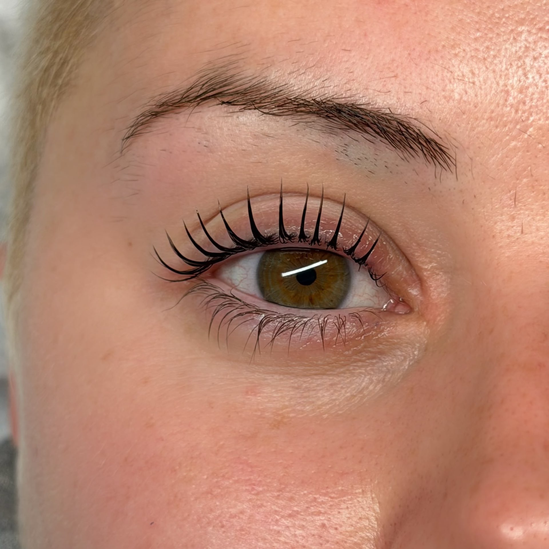Lash lift — lifted & tinted at Stylashlee